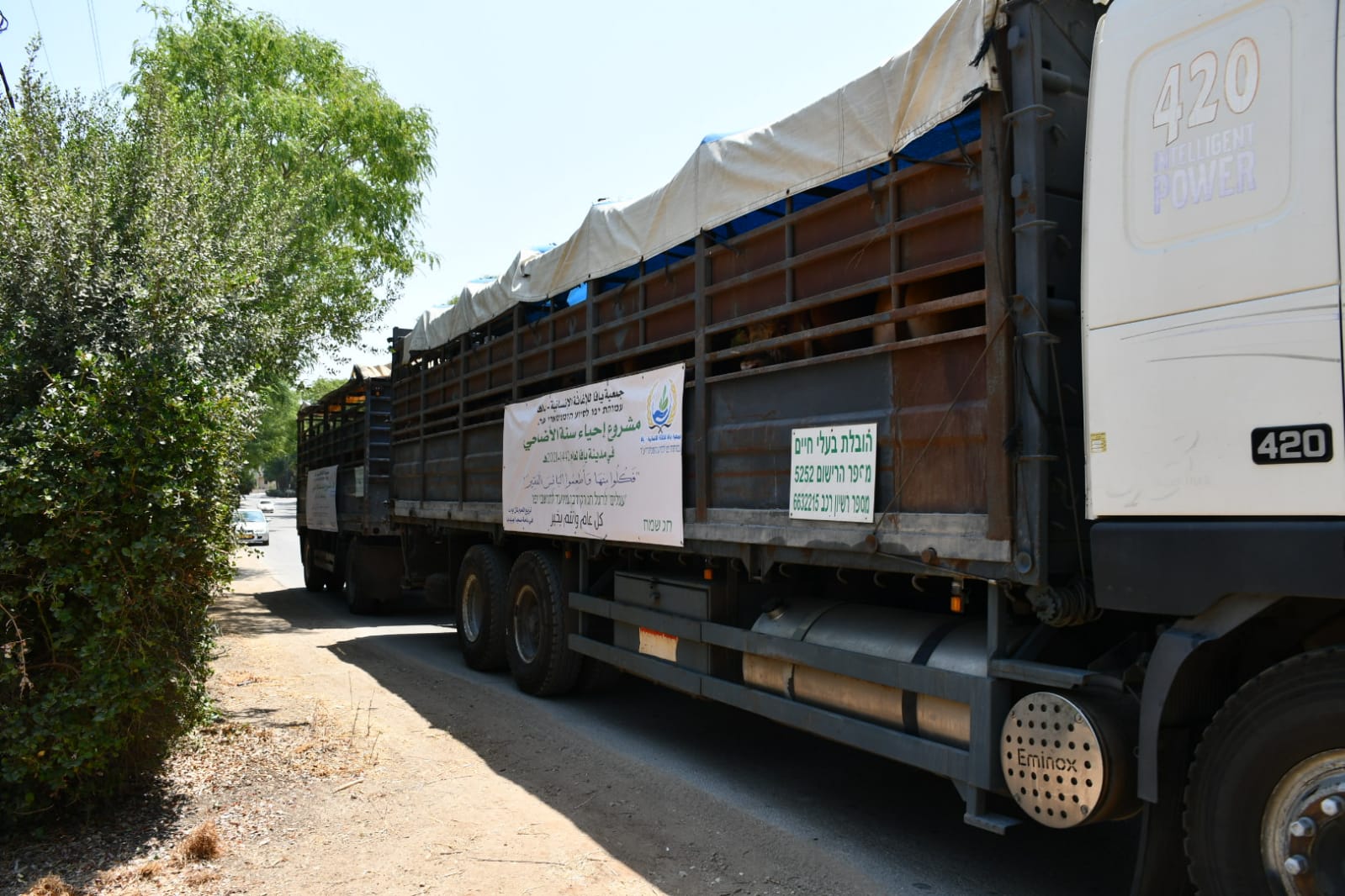 WhatsApp Image 2021-07-19 at 1.01.17 PM.jpeg